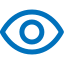 vision (1) vision (1)